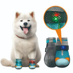 Calzado para perros con luces