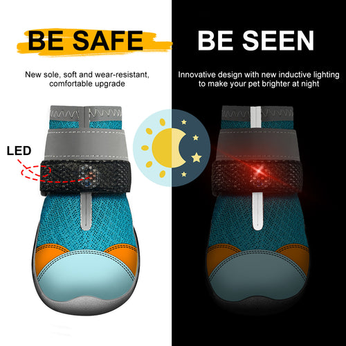 Calzado para perros con luces