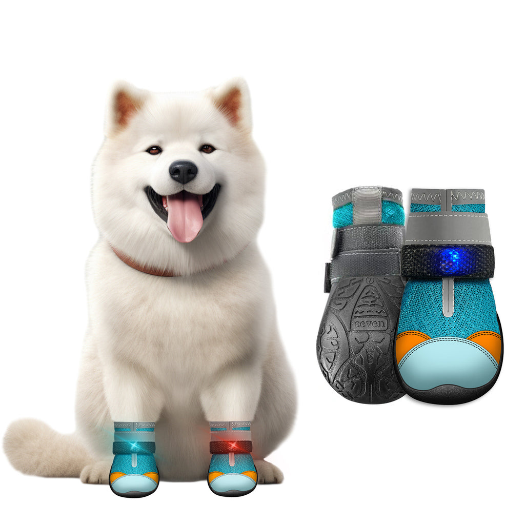 Calzado para perros con luces
